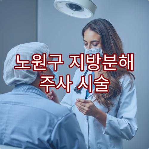 노원구 지방분해 주사 시술 비용 효과 높은 병원 추천