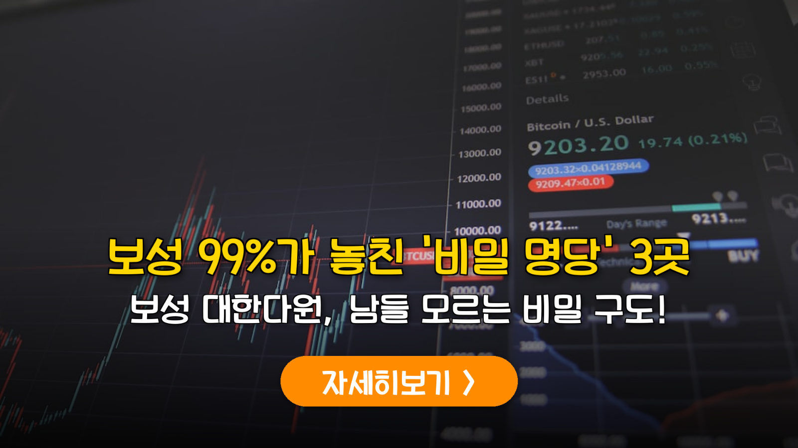 보성 대한다원 녹차밭 명당 3곳과 시간대별 촬영 데이터 분석