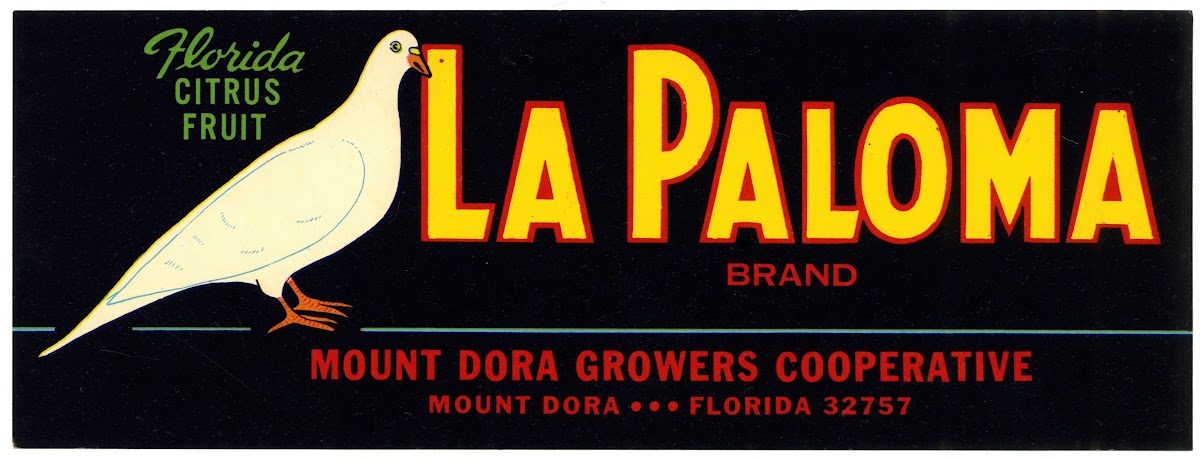 La Paloma Brand Florida Citrus Fruit Label 1930 1950