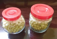 Sau đó xếp kiệu thật ngay ngắn vào hũ thuỷ tinh sạch và khô ráo. Phần muối và đường dưới đáy thau rải đều lên mặt kiệu. Để khoảng từ 5-7 ngày cho phần đường và muối thấm đều vào kiệu. Đun sôi giấm gạo, vớt sạch bọt rồi cho vào ngập mặt kiệu. Sau một tuần, kiệu có thể dùng được.