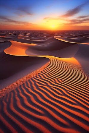 Desert Sunset Picture