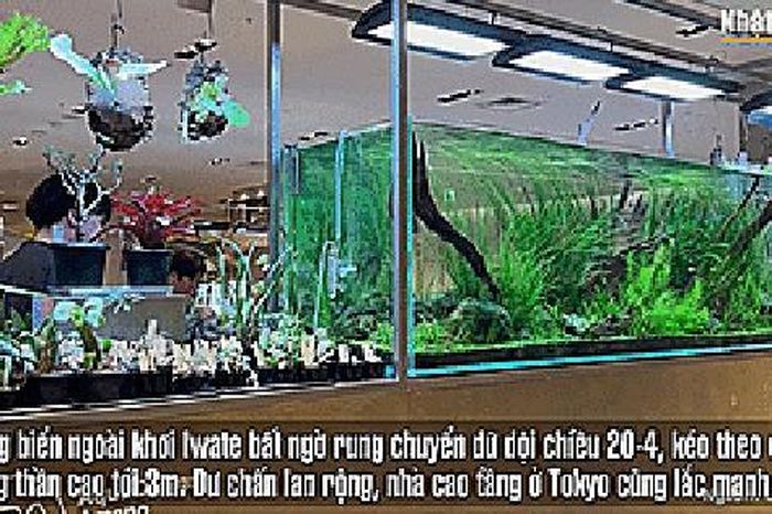 Nhật Bản hứng động đất mạnh, sóng thần đe dọa 3 tỉnh - Báo Người Lao Động