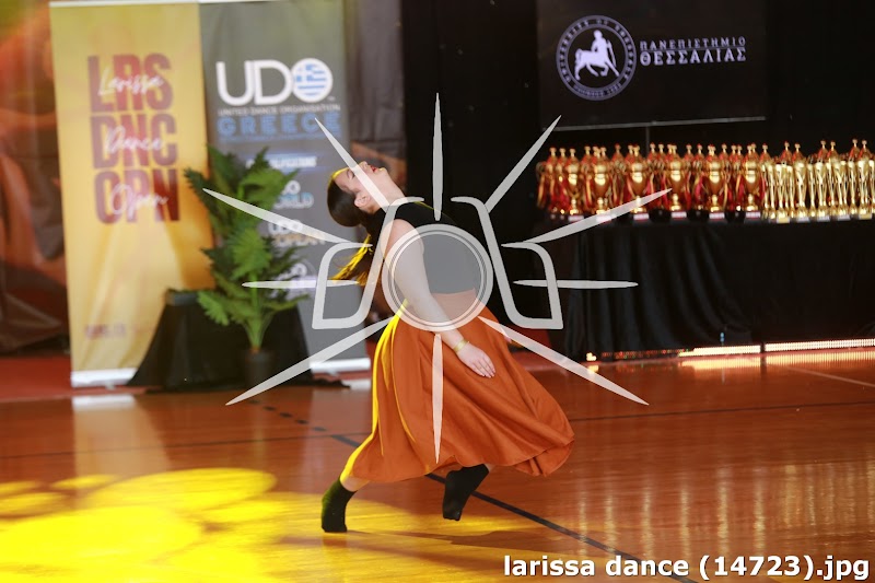 larissa dance (14723).jpg