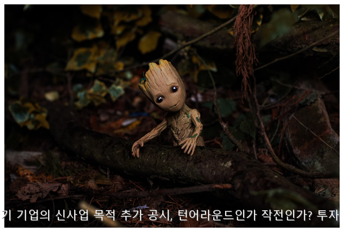상장폐지 위기 기업의 신사업 목적 추가 공시, 턴어라운드인가 작전인가? 투자 실무 가이드 핵심 안내 및 분석 인포그래픽 (4)
