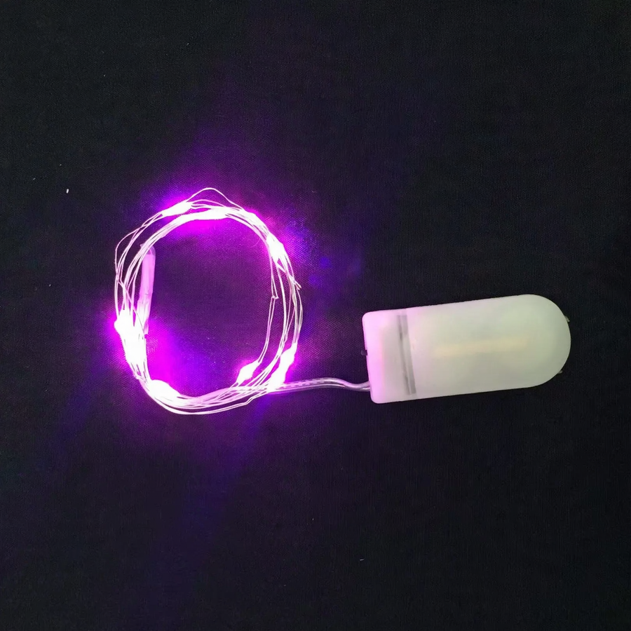 LED Copper Wire String Light with Battery Box
