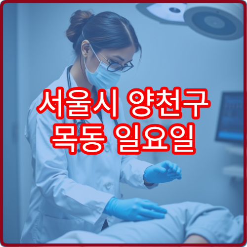 서울시 양천구 목동 일요일 진료 가능한 산부인과 주말 진료 여부 확인 사항
