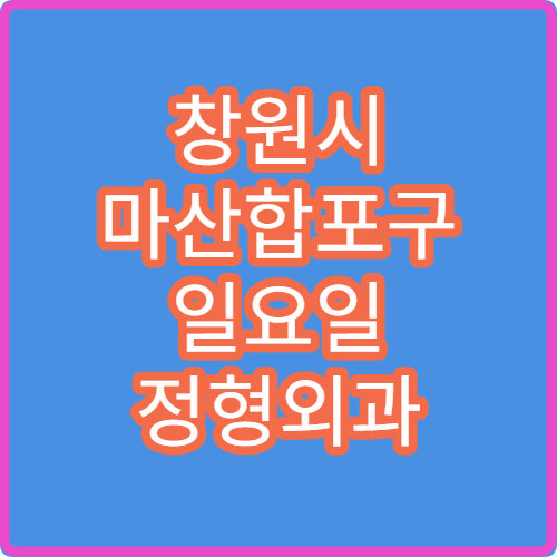 창원시 마산합포구 일요일 정형외과 진료 병원 허리디스크·관절염 상담 가능