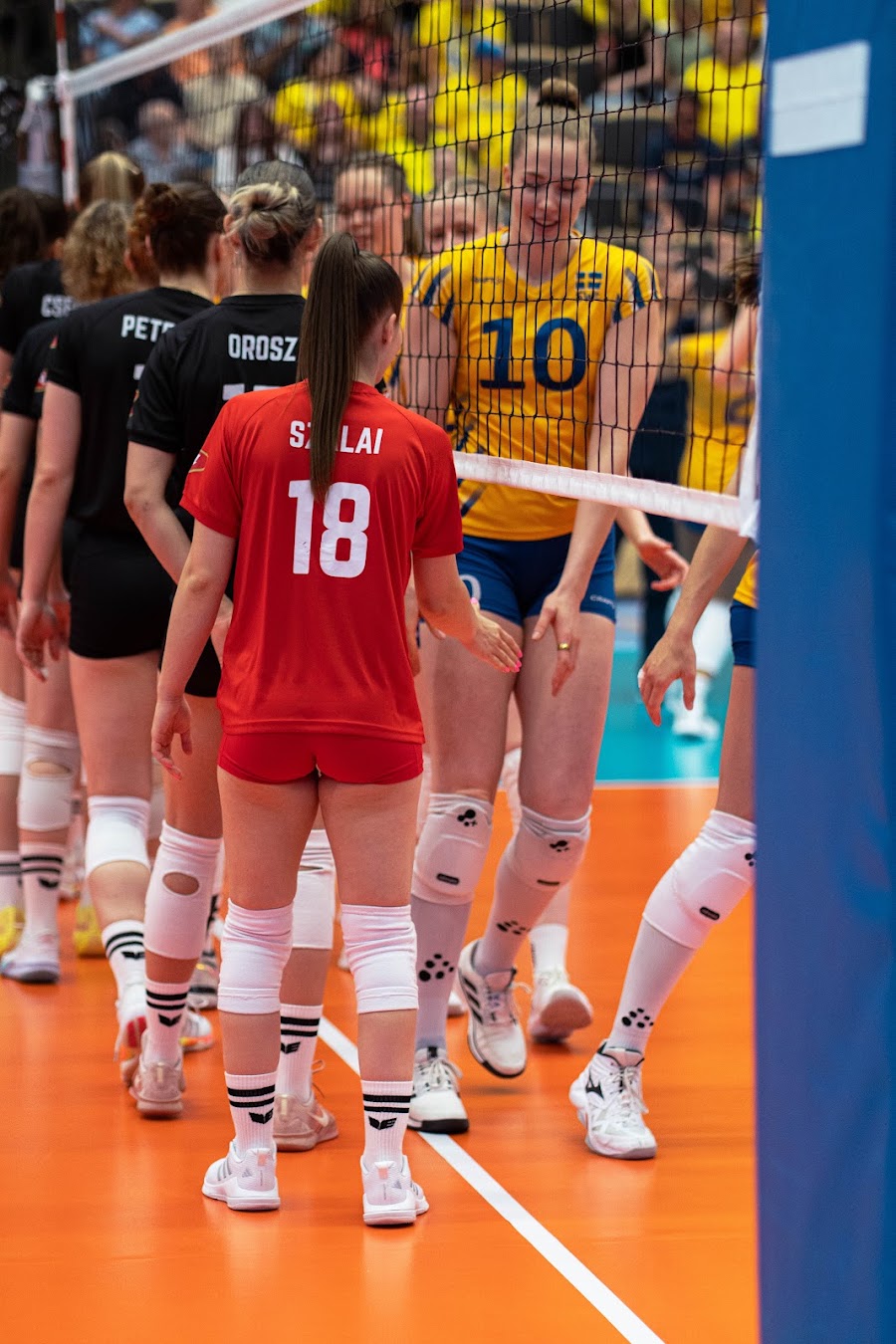 Sweden Hungary 146