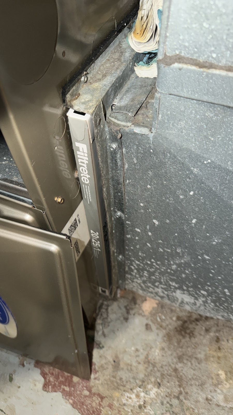 Copy of IMG_2026-03-13_14-40-54_060.jpg