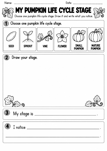Pumpkin Life Cycle Draw and Write Worksheet