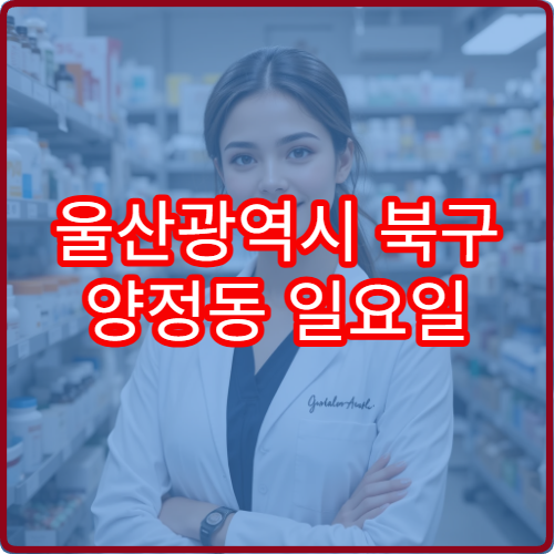 울산광역시 북구 양정동 일요일 영업하는 약국 시간 정리 야간 영업 포함