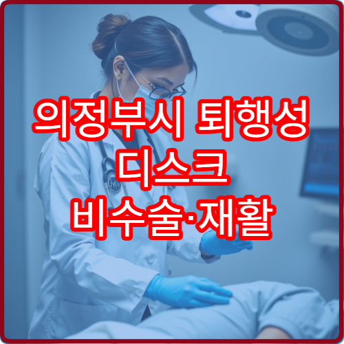 의정부시 퇴행성 디스크 비수술·재활 치료 가능한 병원 정보