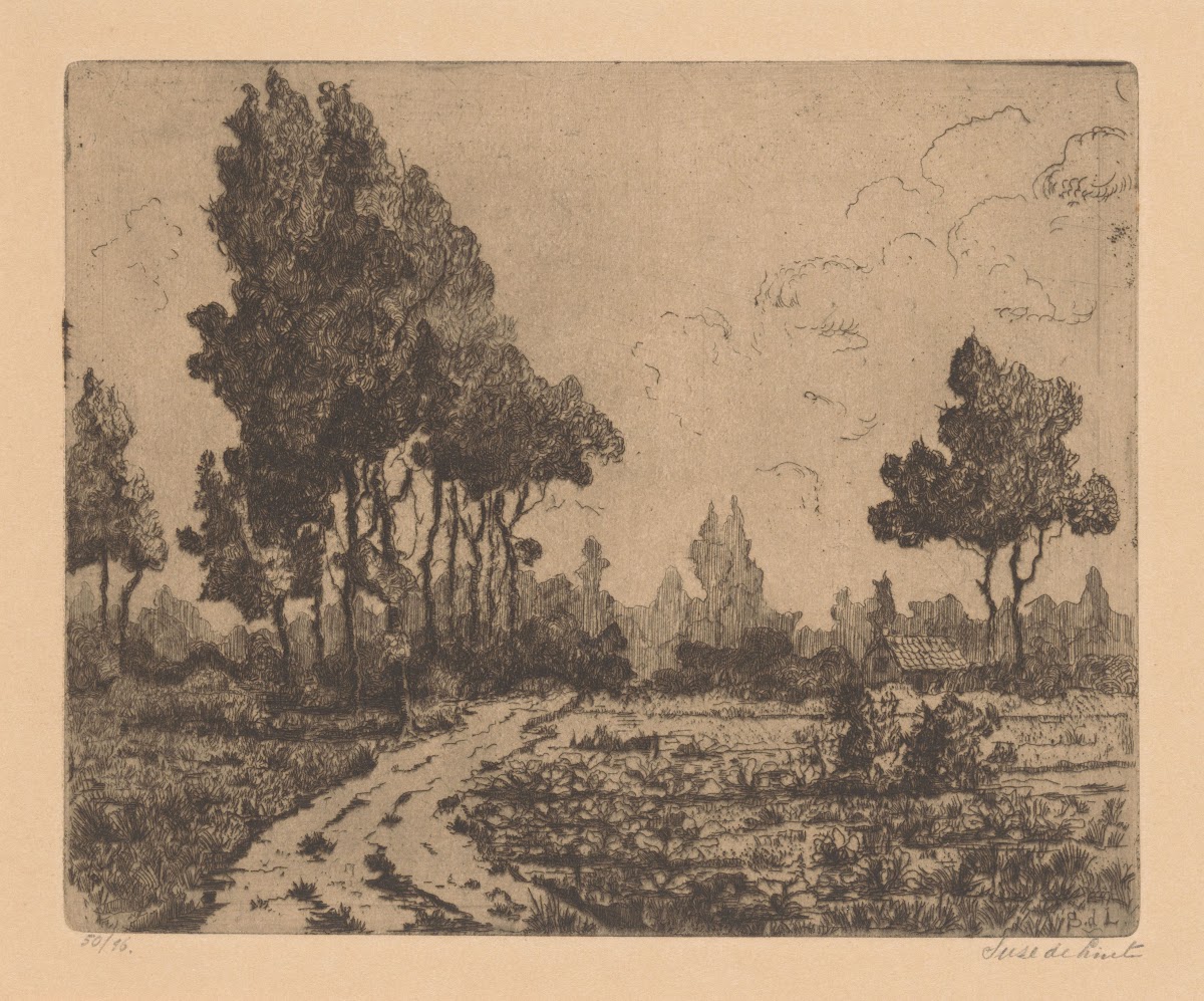 Landweg langs akkers 20th century