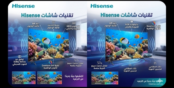 صورة توضيحية 9