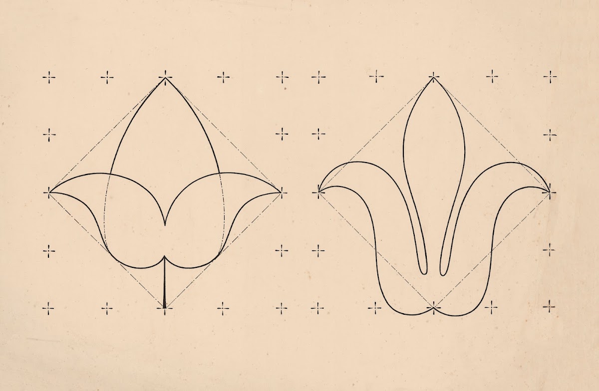 Lily and other flower 1879