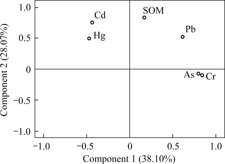 Heavy metal concentrations in agricultural soil from the Western Dongting Lake area of Hunan province, China, and a tiered ecological risk assessment