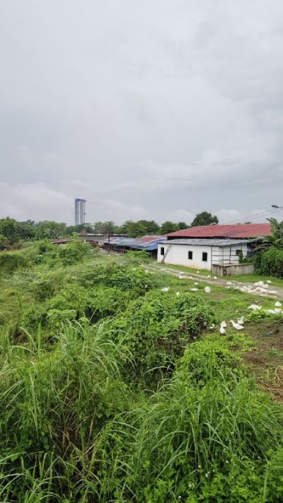Tanah Pertanian 1 Ekar Pulau Meranti — foto 8/10