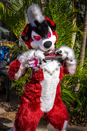 furdu-04010.jpg