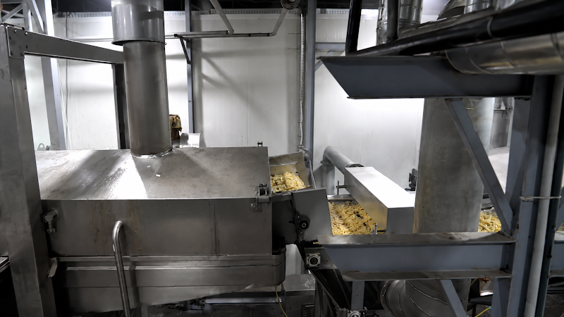 Tolido French fries line — SANAM