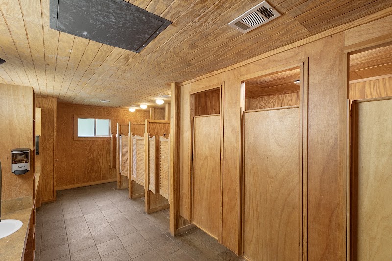 Cedar 1