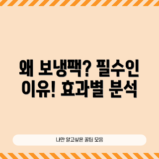 피플연구소보냉팩, 필수 아이템, 주부 필수품, 여름 필수템, 건강 관리 팁
