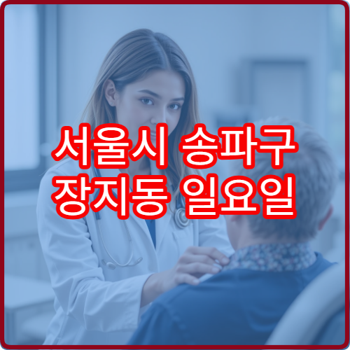 서울시 송파구 장지동 일요일 내과 진료 병원 휴일 운영