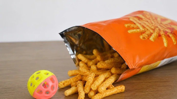 Mysuru Child Dies After Choking on Toy from Snack Packet