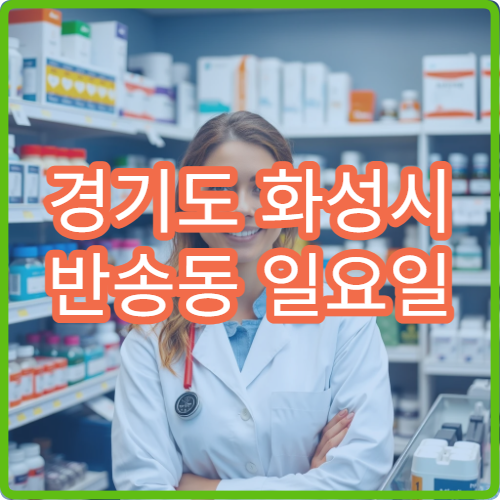 경기도 화성시 반송동 일요일 피부과 병원 안내 주말 피부과 운영 현황