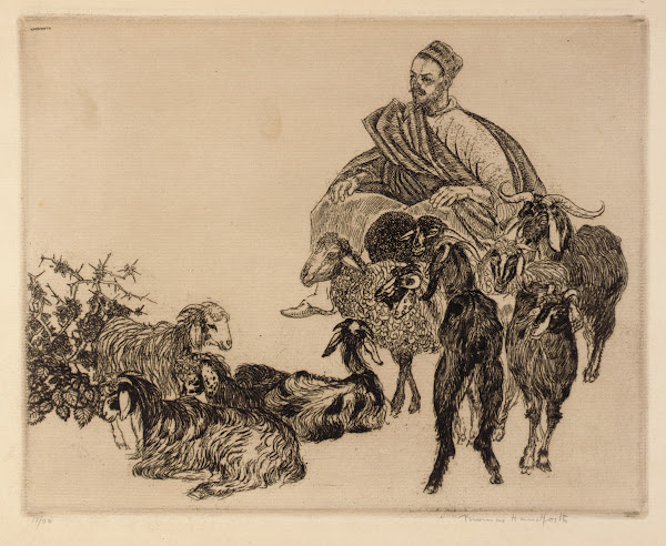 Untitled Arab with Goats