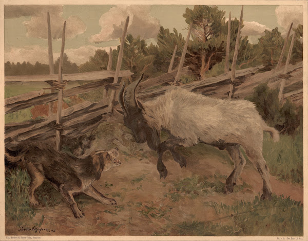 The puppy and the kid goat 1897