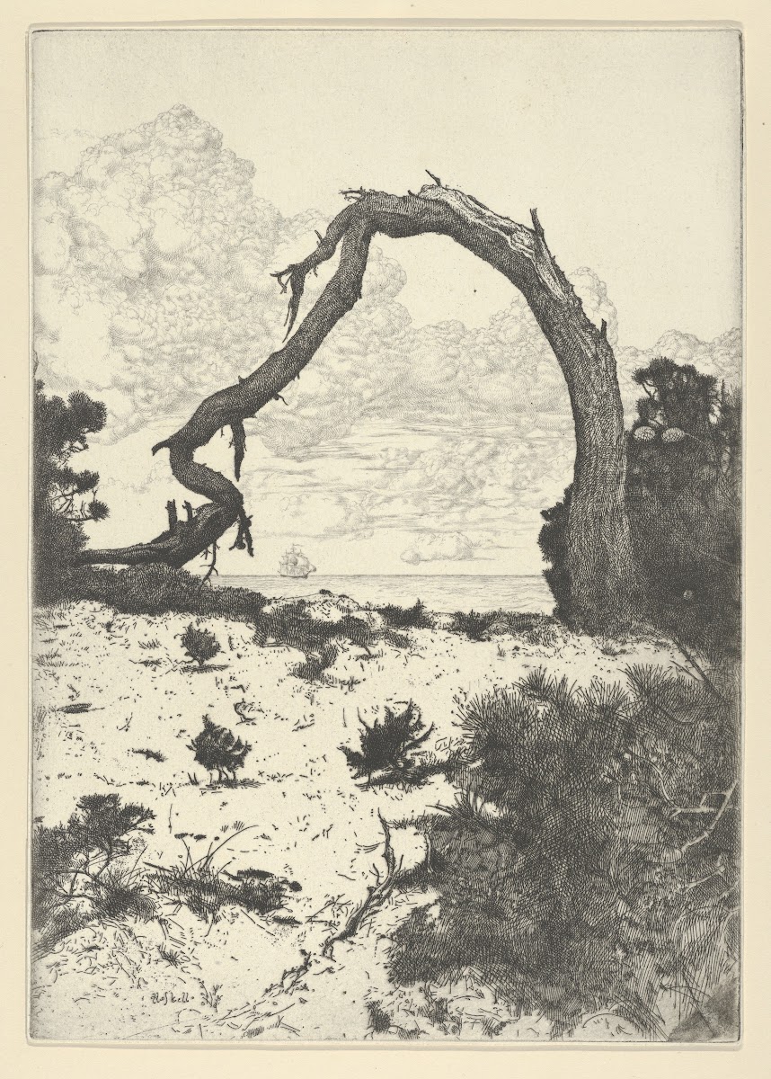 Pine Arch 1900 1925