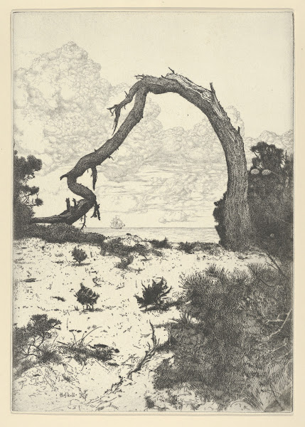 Pine Arch 1900 1925