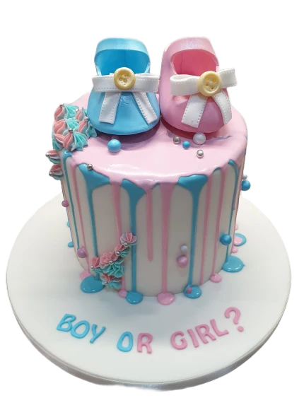 Gender Reveal Icing Cake CB-NC409