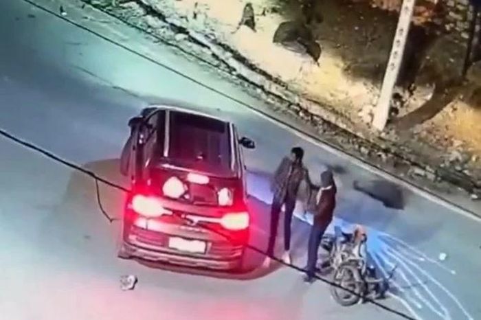 Báo hoa mai bất ngờ lao qua đường, người giao sữa tông trúng - Tạp chí Doanh Nghiệp Việt Nam