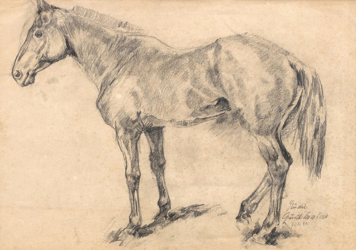 Pferdestudie 1941