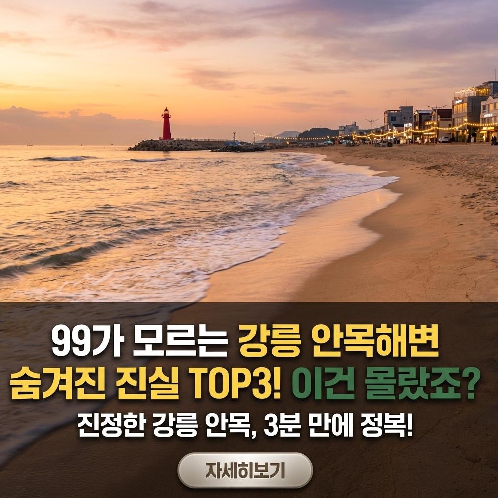 강릉 안목해변 카페거리 완벽 가이드: 주차, 맛집, 인생샷 명소 총정리