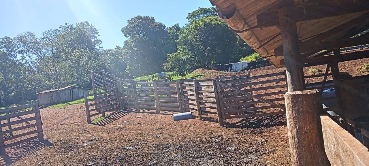 Fazenda em Caldazinha-GO 8