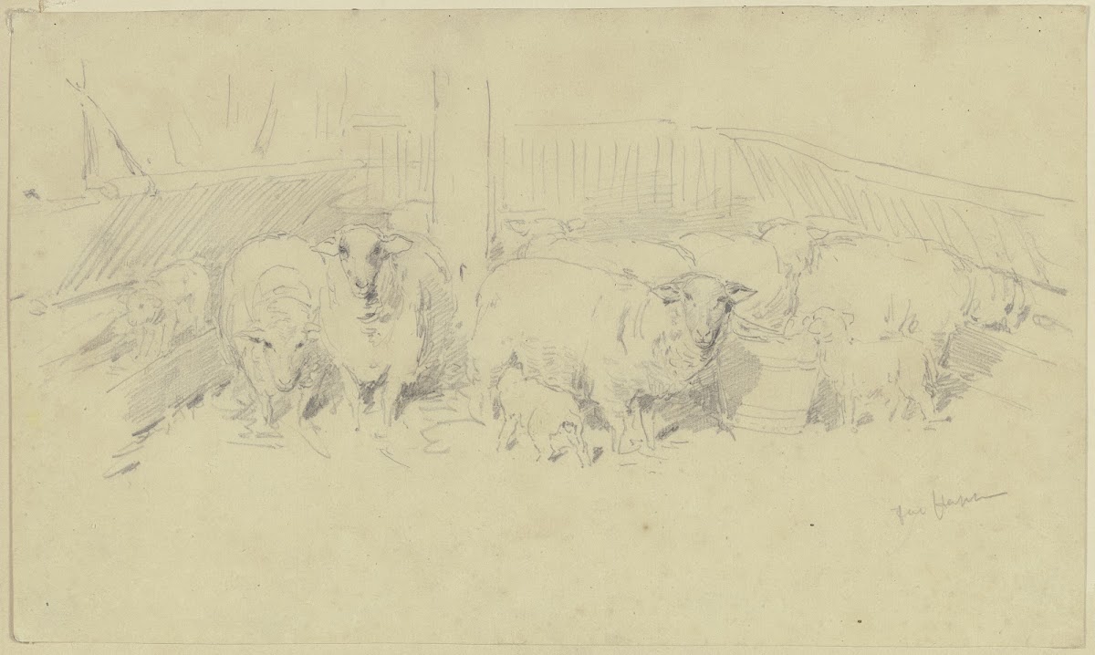 A sheepfold