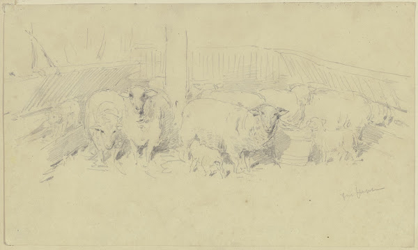 A sheepfold