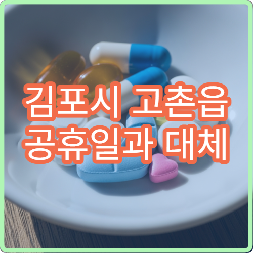 김포시 고촌읍 공휴일과 대체 공휴일에도 진료하는 병원 정보