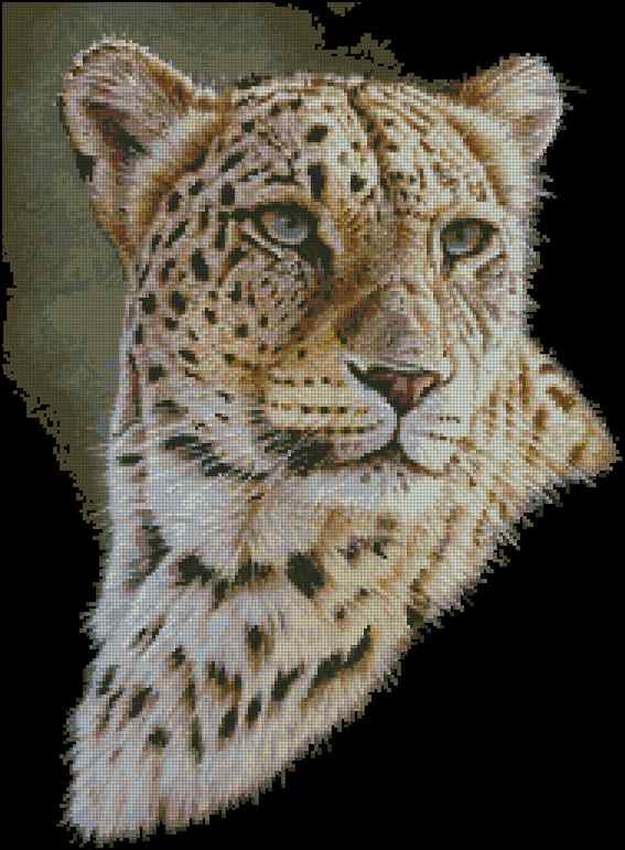 CMP 400381 Wild Cat