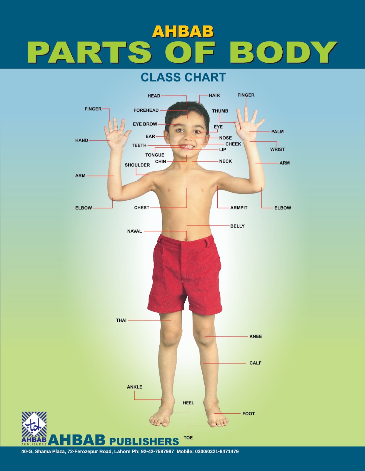 Parts of Body - Class Chart