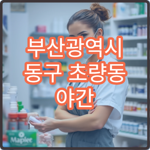 부산광역시 동구 초량동 야간 영업 약국 KTX 인근 심야 약국