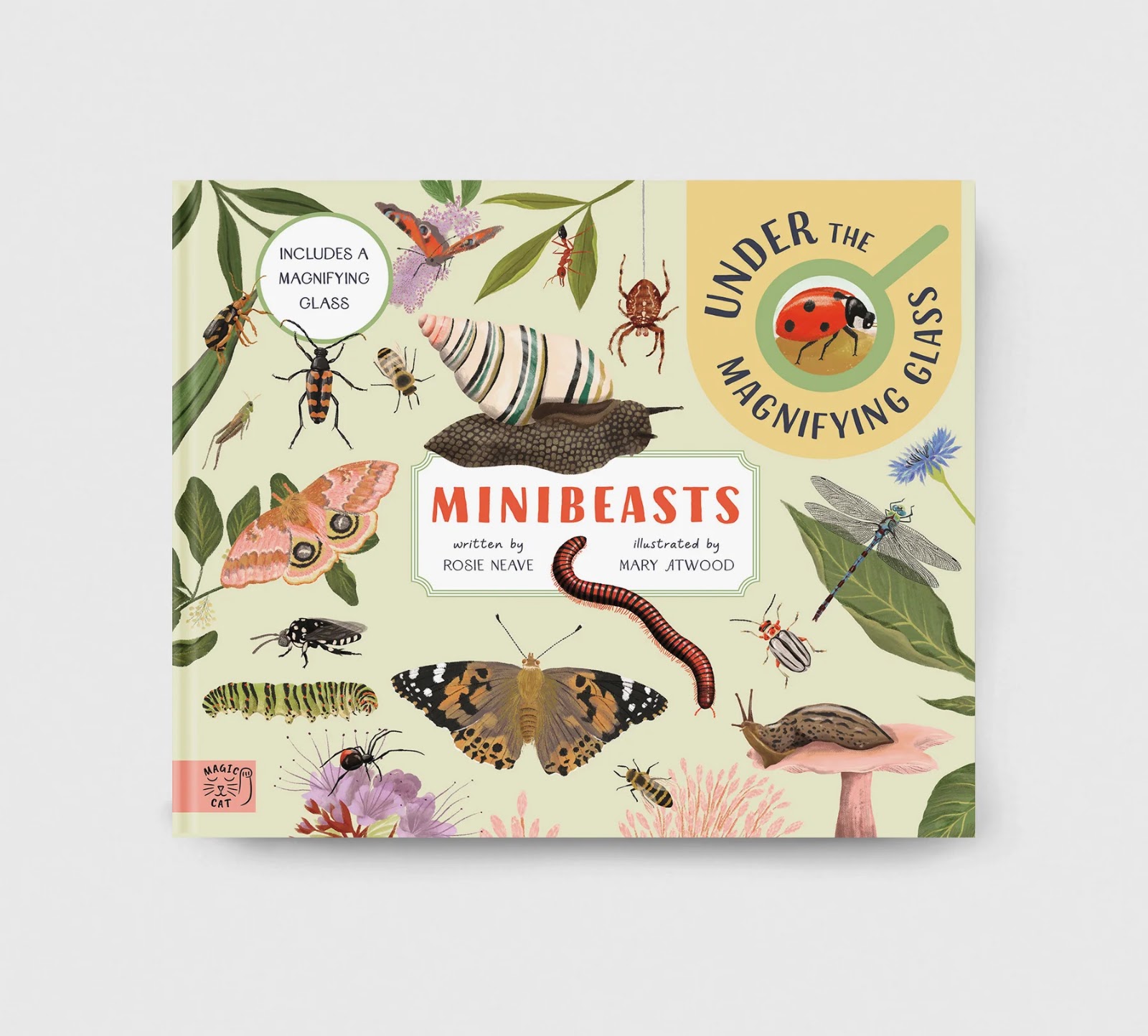 Minibeasts: Under the Magnifiying Glass - thumbnail 2