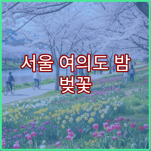 서울 여의도 밤 벚꽃 야경 최고 시간과 로맨틱 데이트팁