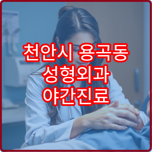 천안시 용곡동 성형외과 야간진료 가능한 의료기관 소개