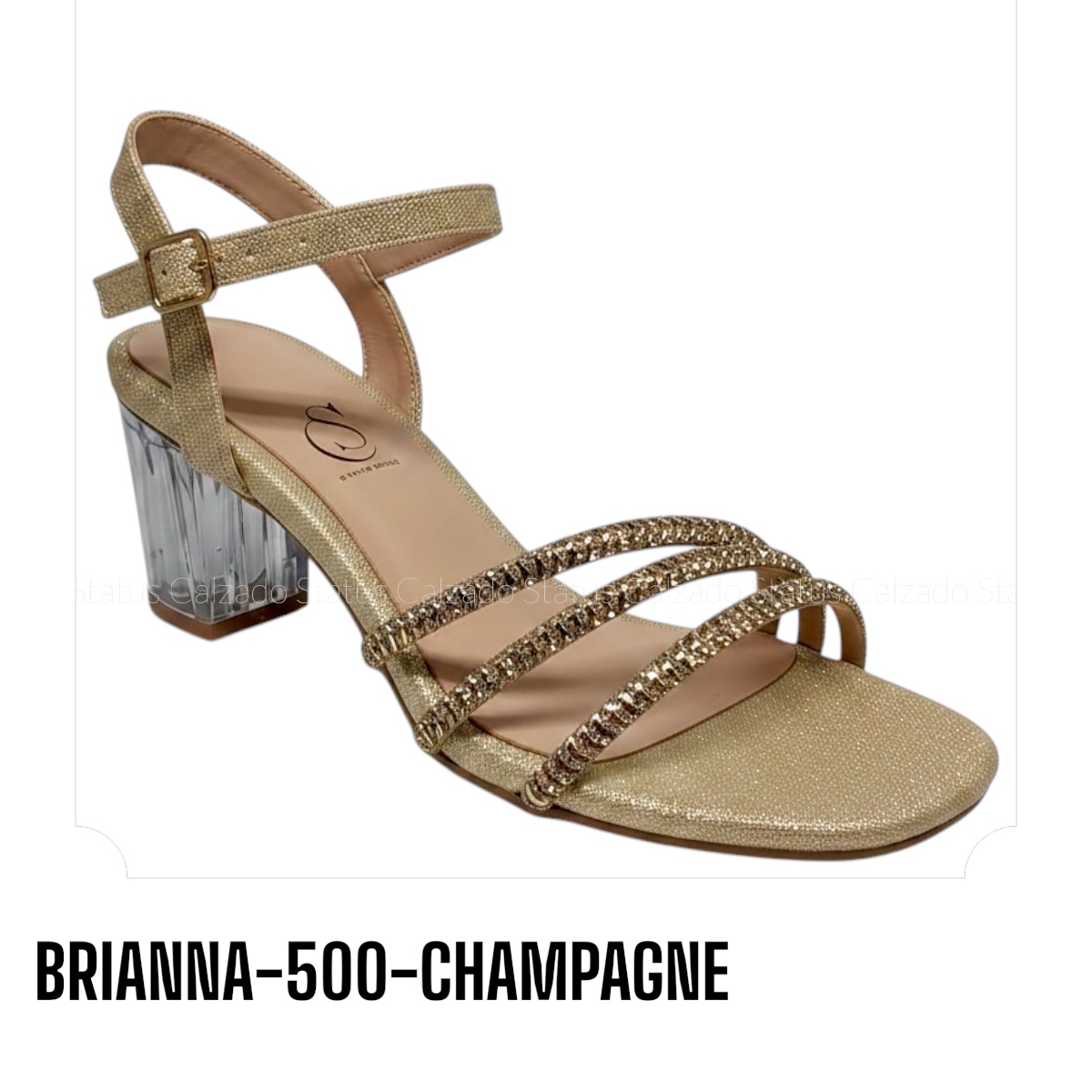 BRIANNA-500-CHAMPAGNE