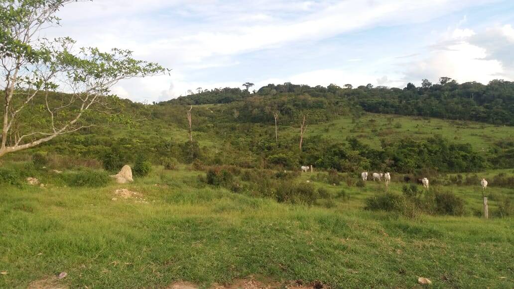 Fazenda em Paranaíta-MT 4