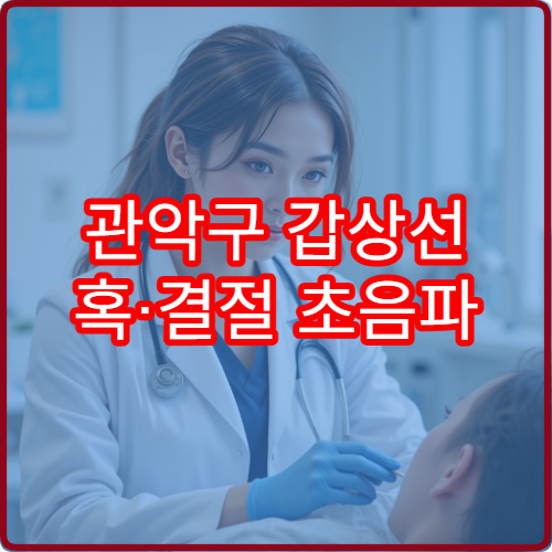 관악구 갑상선 혹·결절 초음파 검사 및 조직 검사 가능한 병원