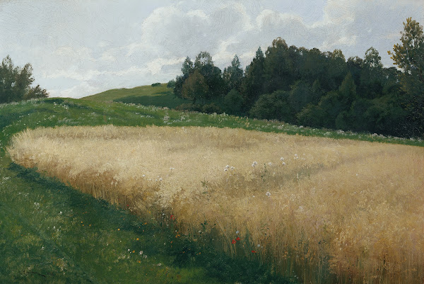 Das Haferfeld 1906